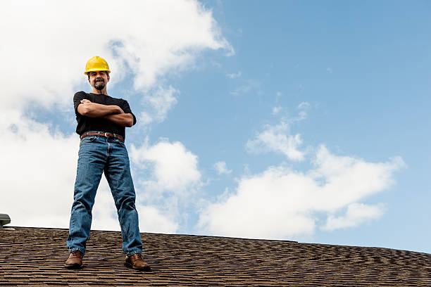 Roof Gutter Cleaning in Knob Noster, MO